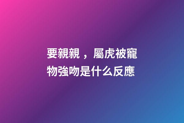 要親親，屬虎被寵物強吻是什么反應
